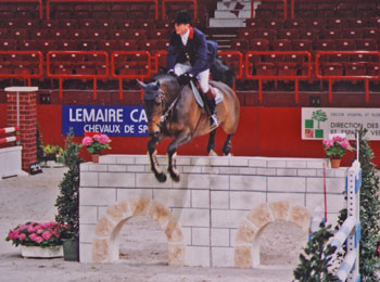 Jumping de Paris-Bercy, cheval franchissant un obstacle vertical.